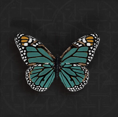 Image Not Available